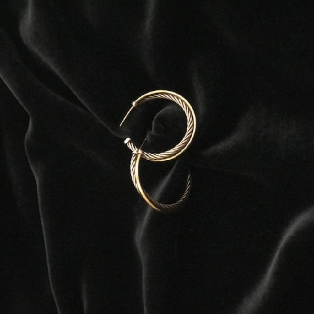 Gold and Silver Earrings